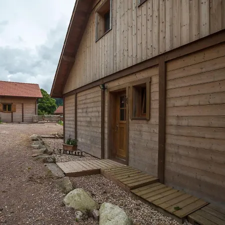 Cozy Holiday Near Ski Slopes With Garden In